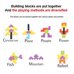 Kids Wooden Puzzle Set